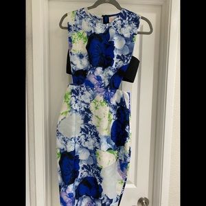 Vici Side Cut Out Sheath Floral Dress  (Small)